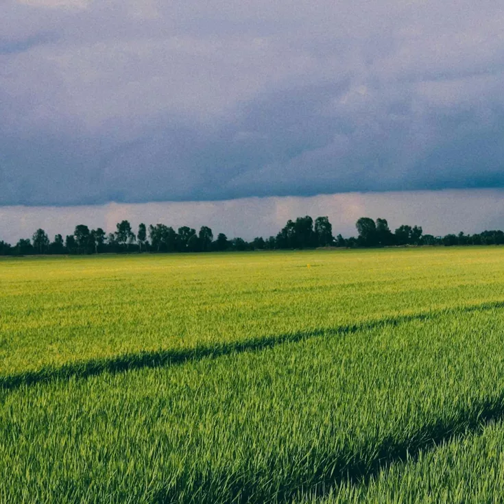 woda amoniakalna Centro-chem do produkcji nawozów