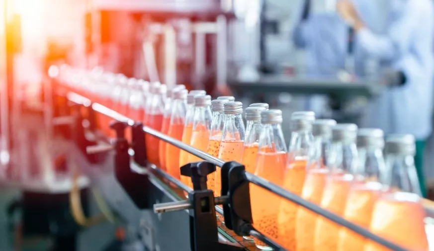 benzoesan sodu sorbinian potasu w żywności