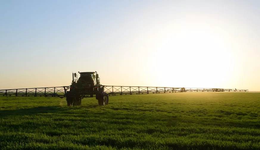 saletra magnezowa nawożenie dolistne